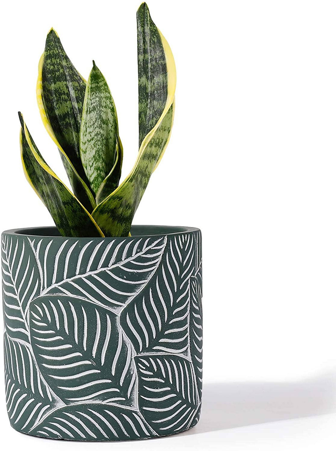 Green Vintage Leaf Cement Pot