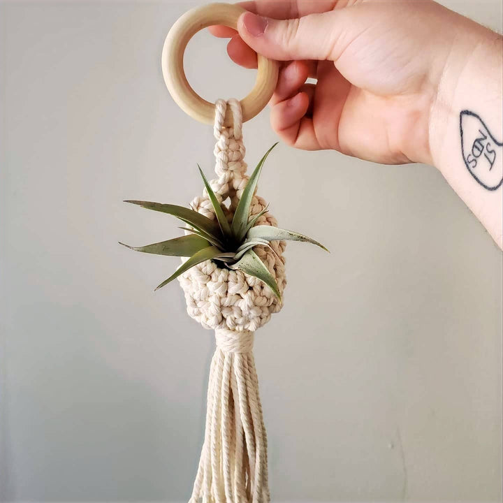 Macrame Air Plant Pod