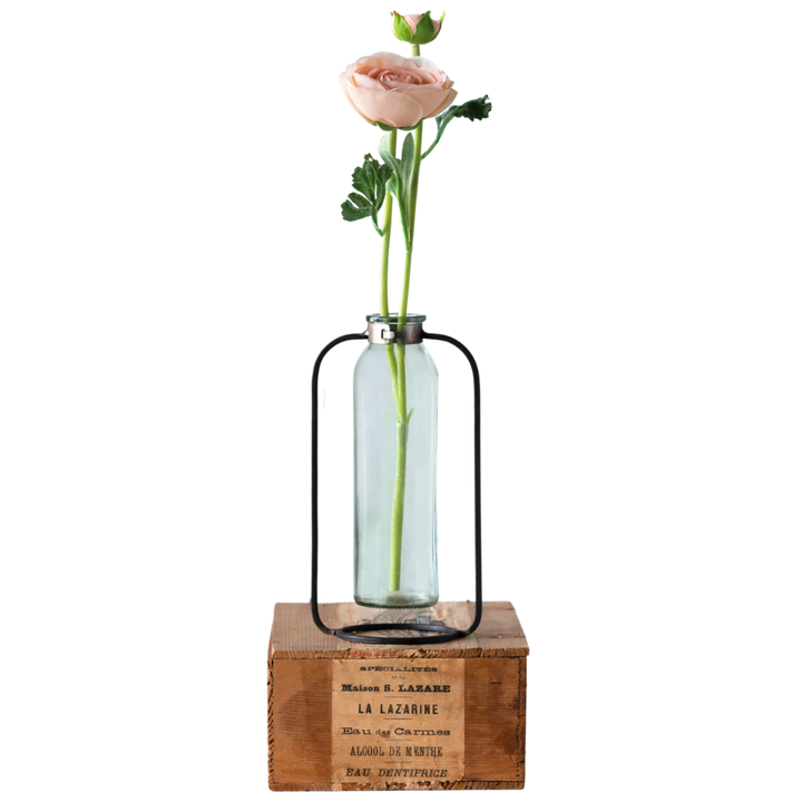Glass Vase in Metal Stand
