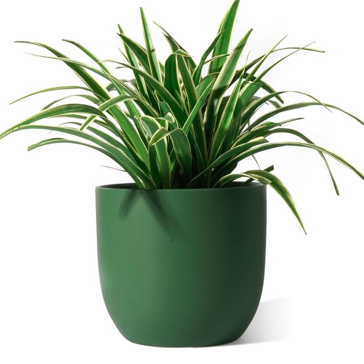 7" Green Round Modern Ceramic Planter