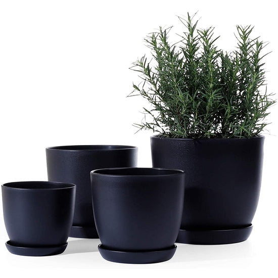 Black Plastic Pot with Saucer - Curved Base