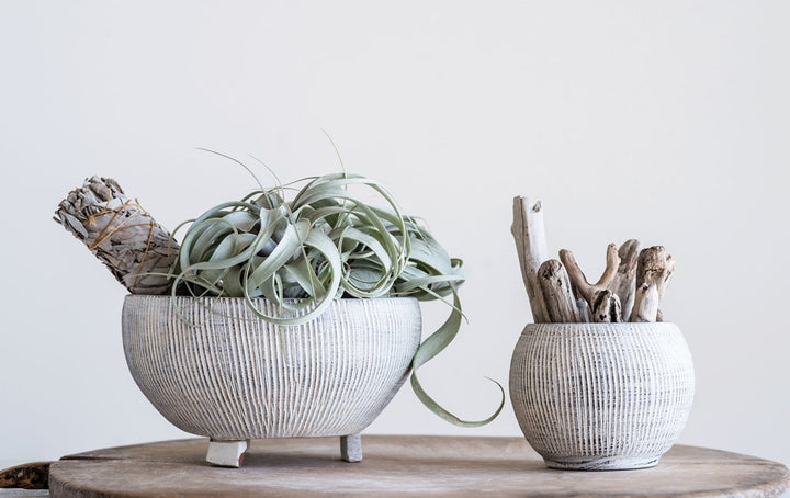 Cream Textured Terracotta Planter