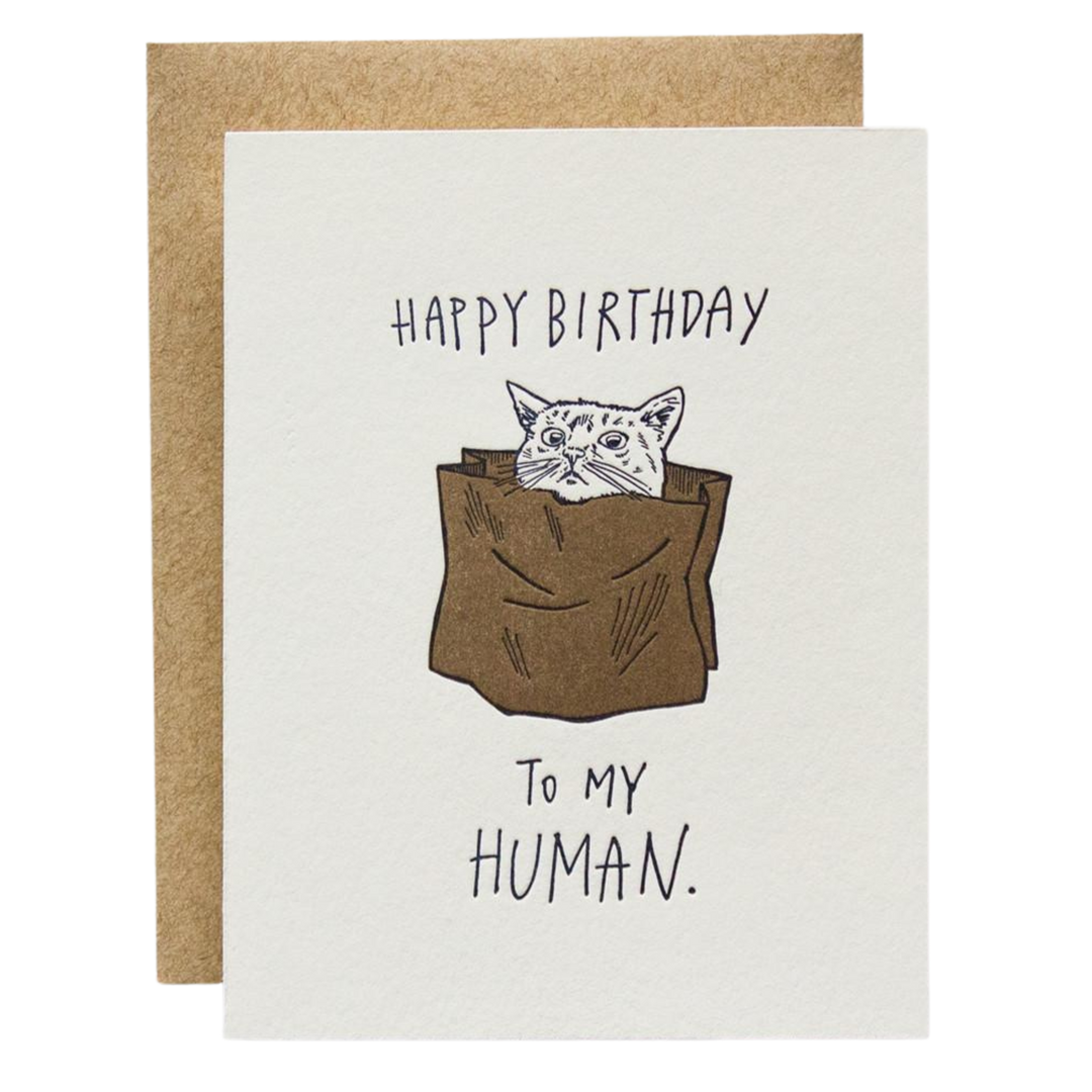 Happy Birthday To My Human Cat Card