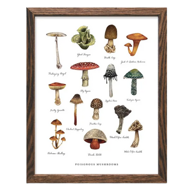 Poisonous Mushroom Art Print