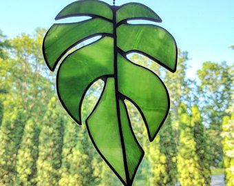 Stained Glass Rhaphidophora Tetrasperma Leaf