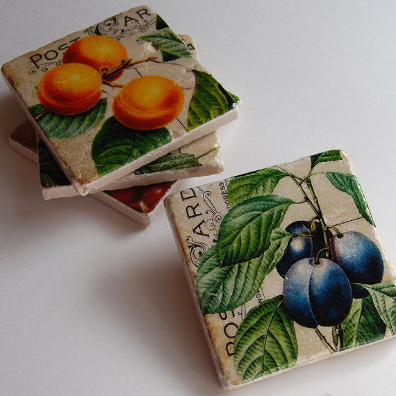 Fruit & Script Coasters // Set of 4