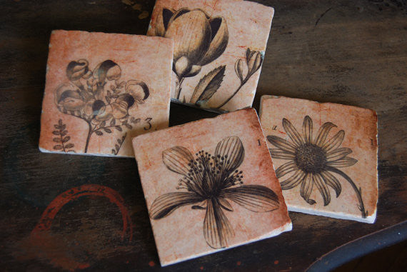 Sepia Botanicals Coasters // Set of 4