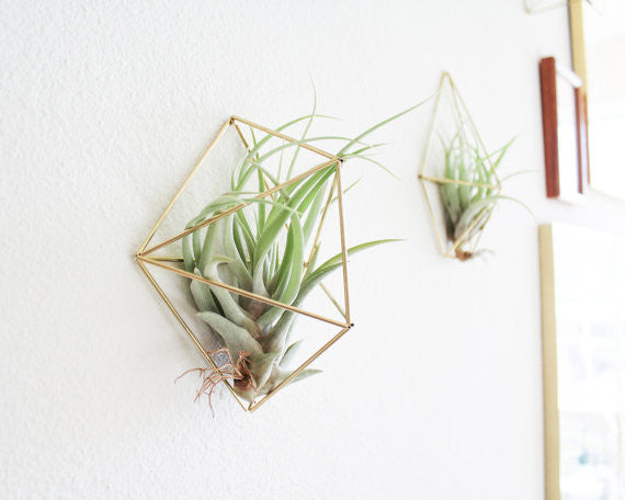 The Cocoon Brass Sconce