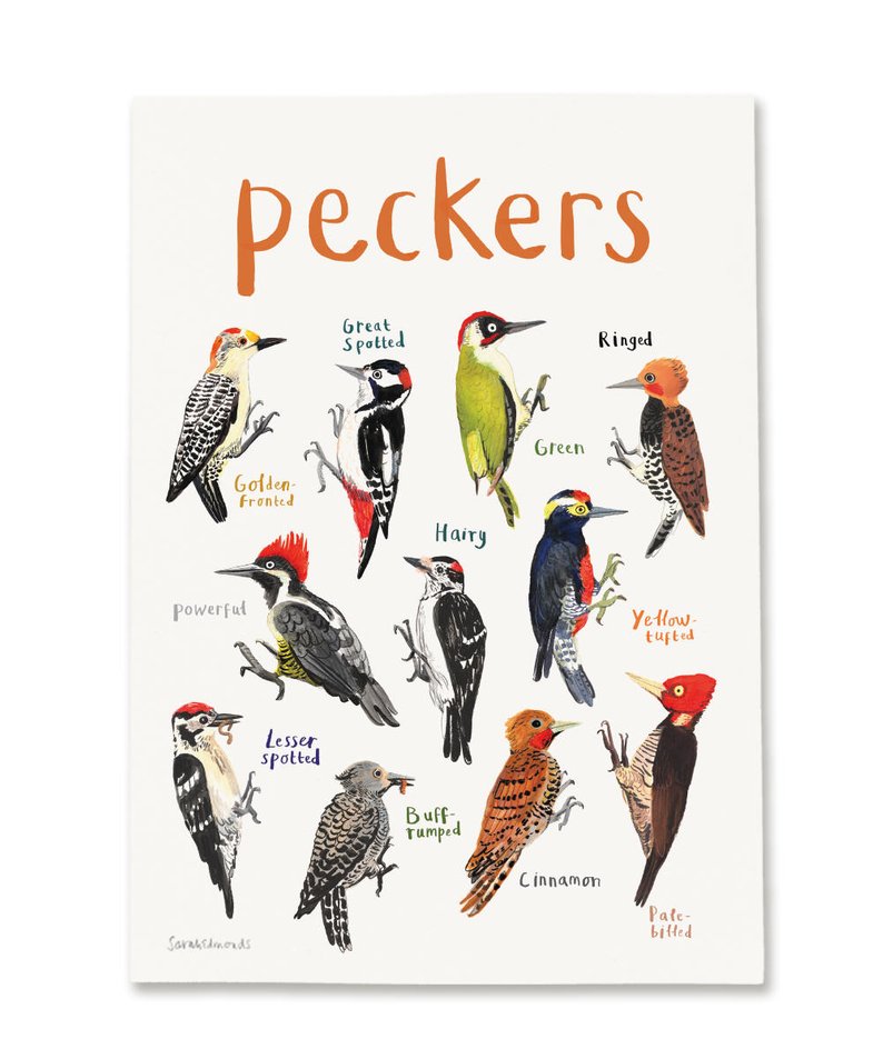 Peckers A4 Print