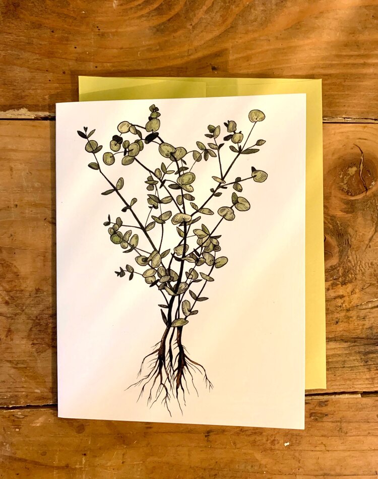 Eucalyptus Greeting Card