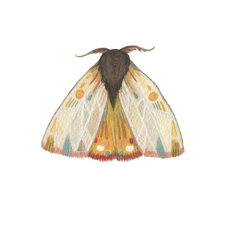 Collector: Moth 9 - Art Print