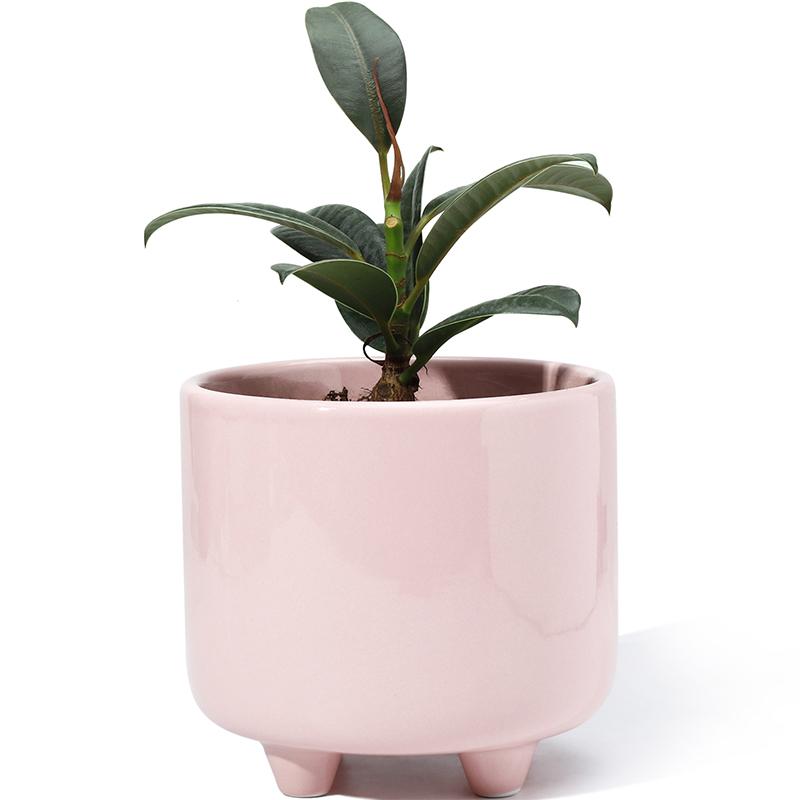 Pink Glazed Ceramic Plant Pot