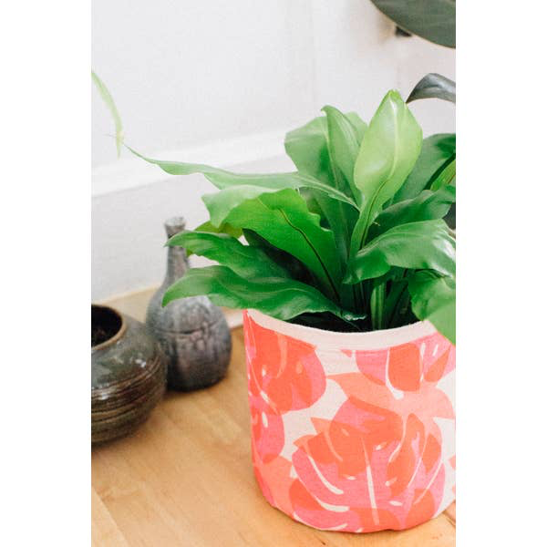 Pink Monstera Jana Lam Plant Sax