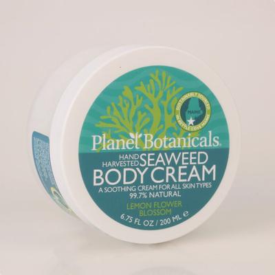 Maine Seaweed Dream Body Cream