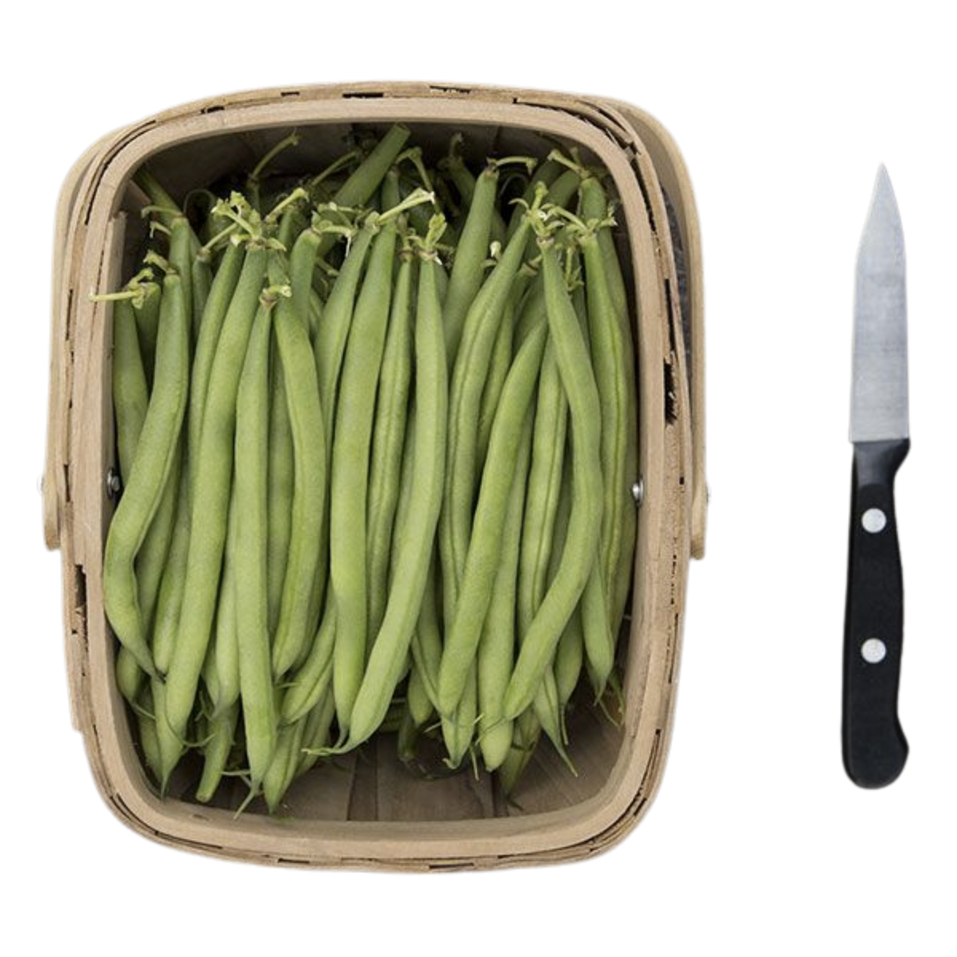 Antigua Bush Bean: 1 ounce