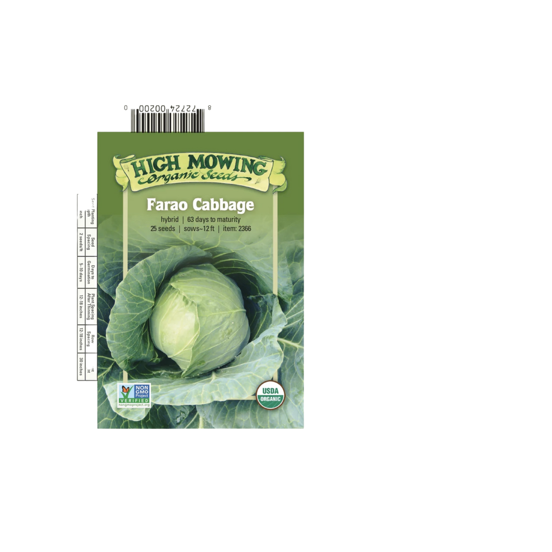 Farao F1 Cabbage: 25 Seeds