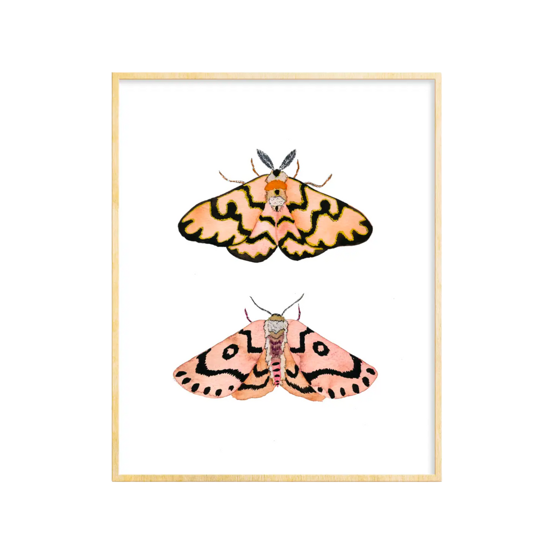 2 Moths Art Print 5x7