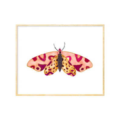 Moth #14 Art Print 8x10