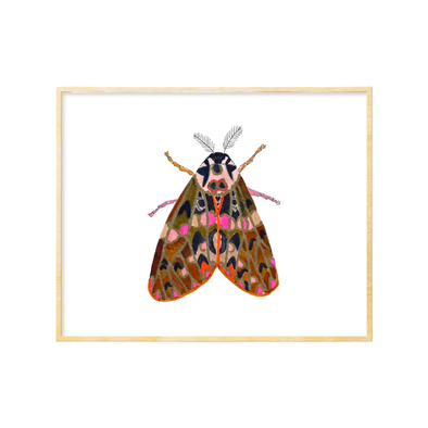 Moth #3 Art Print 8x10