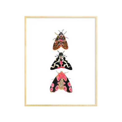 3 Moths Art Print 8x10