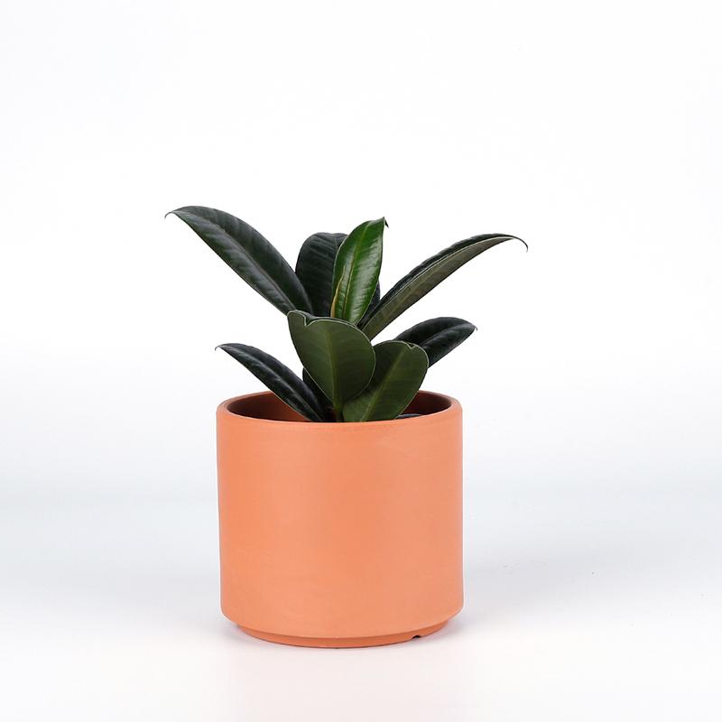 Terracotta Cylinder Planter